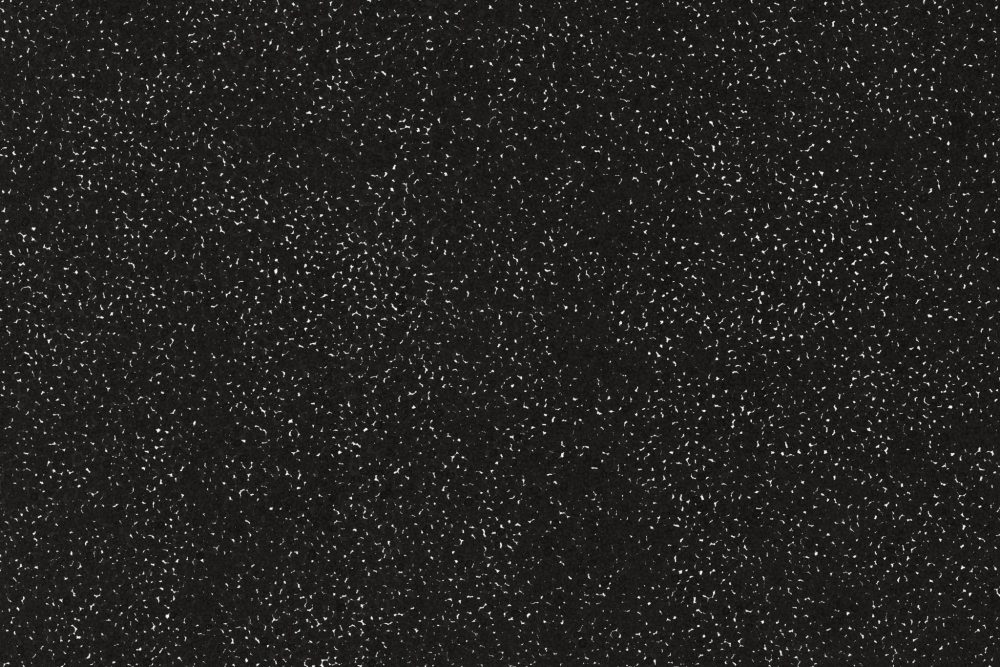 A close up section of an ink drawing of small black spheres entirely filling the page