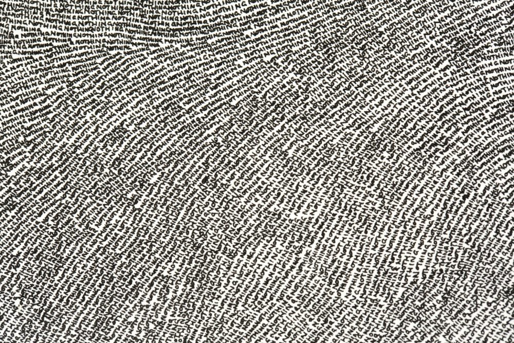 A close up of a drawing entirely composed of the repitition of the handwritten word, nothing.