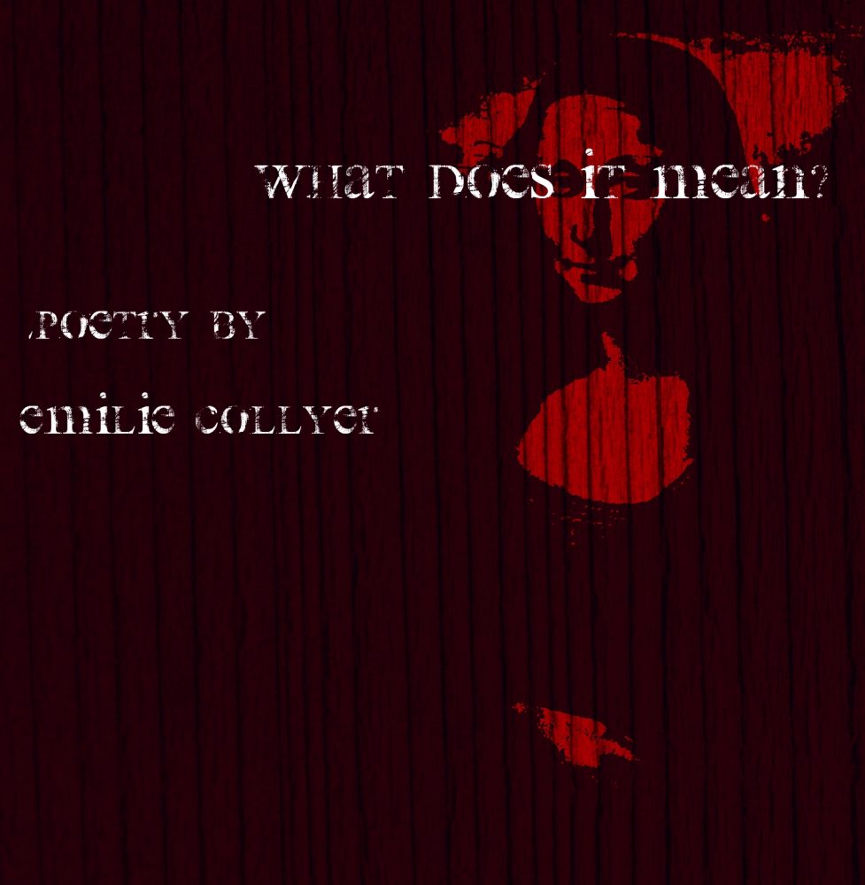 What Does It Mean? (Emilie Collyer) Verity La